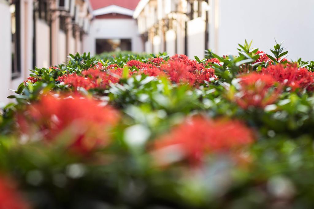 Hotel Casagrande Palmas Kültér fotó